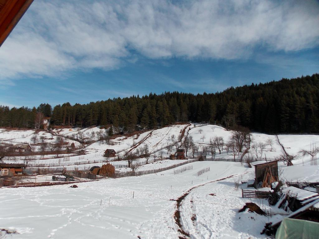 Pensiunea Paradiso Poiana Teiului Luaran gambar